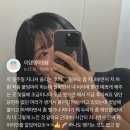 하이룰루 이미지