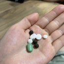 완사약국 이미지