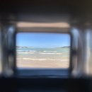 일출추어탕 이미지