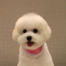 트리밍807 이미지