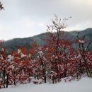한길문화 이미지