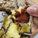 4623 | 대구 중구 베이커리 윈드윈 겨울방학 후 사전예약기간 구매 솔직후기