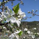 온곡마을 이미지