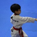 국가대표석사태권도장 이미지