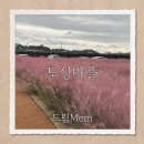 토성1 2소교량 | [청주] 충북 핑크뮬리 토성마을카페 아기랑 함께 다녀왔어요 | 청주핑크뮬리
