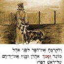 히브리어의 비밀 (43) 이미지