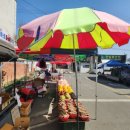 자인공설시장(서부리) 이미지