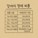 포항제일장례식장 | 포항강아지장례식장 굿바이마이프렌드 | 장례 절차 비용 반려견 화장 후 유골안치 방법 까지!