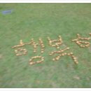 미스터윤