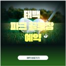 태백파크