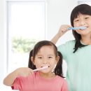 정치과 네이버블로그