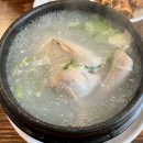 오늘잡은 토종닭 오골계 신진시장 | 삼복더위에 가기 좋은 서울 3대 삼계탕 맛집 (feat. 고려삼계탕, 토속촌삼계탕, 백제삼계탕)