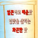 낙지부대 이미지