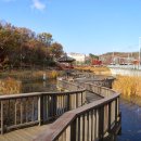 올레길 산림형 2코스 | 구로구 궁동저수지생태공원, 정선옹주묘역, 지양산, 매봉산 (구로올레길 산림형 2코스)