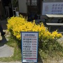 홍길동테마파크 | 장성 황룡강 음악힐링 축제 초대가수 맛집 추천, 장성 홍길동테마파크 산촌자연밥상