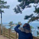 세븐일레븐 제주도두점 | [제주도 여행] 제주 공항 근처 가볼만한곳 - 도두봉, 도두 무지개 해안도로, 함덕 서우봉 둘레길 유채꽃...
