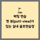 펏뷰