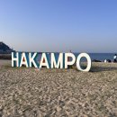 태안생활문화센터 | 충남 태안 서산 1박2일 초등 가족 여행 해루질 없는 코스 총정리