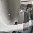 동성백두 이미지