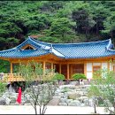 강신성일 카카오 검색결과