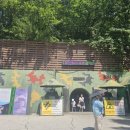 관전리 | 포천에서 막국수 먹고 철원 DMZ까지?! 비행기 놓칠 뻔한 평화관광 투어 후기