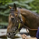 라온목장 이미지