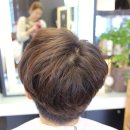 살롱드에스 이미지