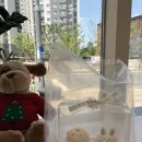 구정초등학교 | 포항 남구 카페 &lt;데이라이트&gt; 레터링케이크 디저트 카페🎁