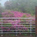 고헌산상회 이미지