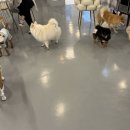 루이비독 이미지