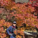 내장산 탐방 이미지