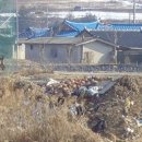 덕천3리 이미지