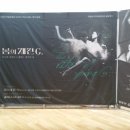 봄의 제전 G. 이미지