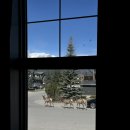 (주)테러스 | 캐나다 워홀 유심 - 결국은 또 바꾼 통신사, 두번째 워홀 비자 | 수퍼셀 후기