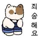 병아리김밥정읍