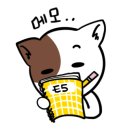 제주나이트