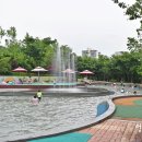 단대공원 물놀이장 이미지