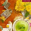 엽차엽차 이미지