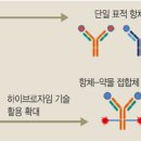 황금알 문화일보