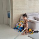 삼식이반찬 이미지