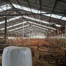 화성양계장 이미지