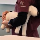 마음사랑동물병원 이미지