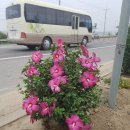 성환주유소 이미지