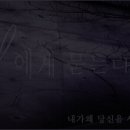 물고기(물과의 만남 이미지