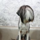 카페아른 이미지