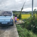 해와달농장 이미지