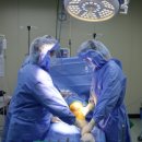 24시해든동물메디컬센터 이미지