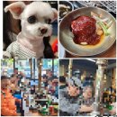 수원-0504 이미지