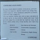발산역 커피 맛집 르와조 탐방 후기!!(feat. 원두 납품)