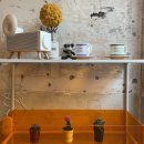 카페 영(Cafe Young) 이미지